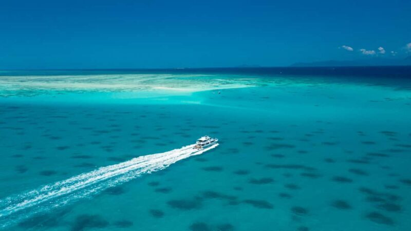 Cairns: Outer and Coral Cay Snorkel and Dive Cruise - Final Thoughts