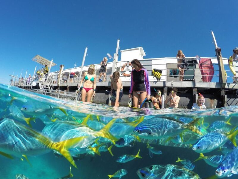 Cairns: Outer Great Barrier Reef Pontoon with Activities - FAQ
