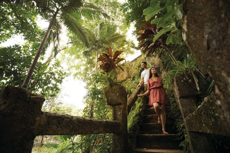 Cairns: Paronella Park Rainforest Full-Day Tour with Dinner - Final Thoughts