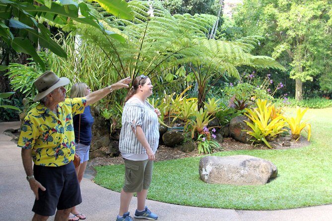 Cairns Shore Excursion: Cairns City Sights & Surrounds Tour - Why This Tour Is Perfect For You