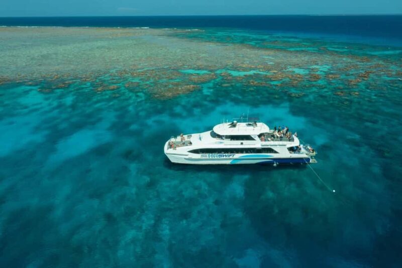 Cairns: Silverswift 3 Great Barrier Reef Sites in 1 Day - Snorkeling and Diving: Something for Everyone