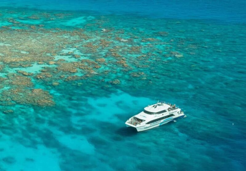 Cairns: Silverswift 3 Great Barrier Reef Sites in 1 Day - Final Thoughts