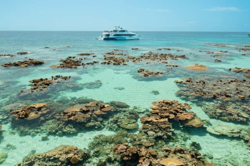 Cairns: Silverswift 3 Great Barrier Reef Sites in 1 Day - Frequently Asked Questions