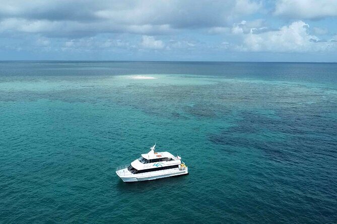 Cairns: Small Group | Outer Great Barrier Reef Snorkel & Dunk Is. - Key Points