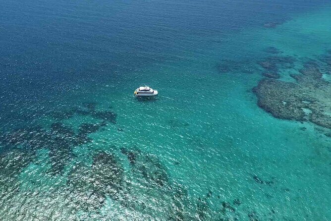 Cairns: Small Group | Outer Reef Snorkel & Dunk Island - References & Additional Info