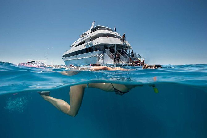 Cairns Super Saver: Reef Cruise, Daintree & Kuranda Rail/Skyrail - Key Points