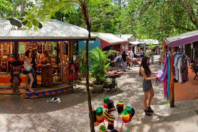 Cairns Super Saver: Reef Cruise, Daintree & Kuranda Rail/Skyrail - Authenticity and Value