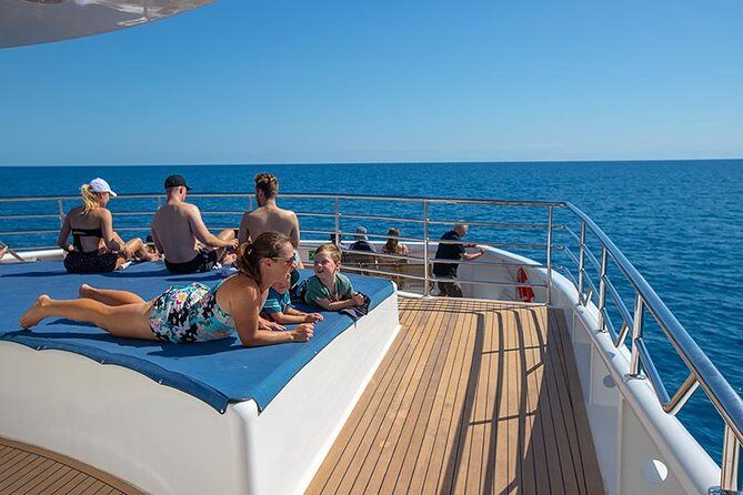 Cairns Super Saver: Reef Cruise, Daintree & Kuranda Rail/Skyrail - Who Should Consider This Tour?