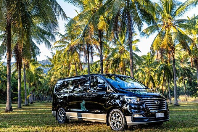 Cairns to Daintree Eco Lodge ONE WAY Private Transfer 6 pax - Key Points