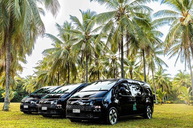 Cairns to Mission Beach ONE WAY Private Transfer 6 pax - A Detailed Look at the Cairns to Mission Beach Private Transfer