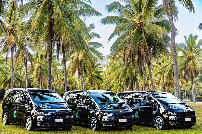 Cairns to Port Douglas ONE WAY Private Transfer 6 pax - The Sum Up