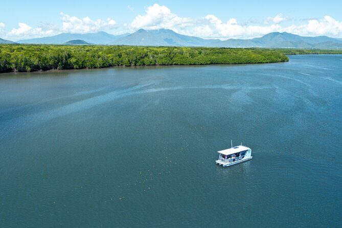 Cairns Trinity Inlet Sightseeing Safari - Exploring Cairns Trinity Inlet: An Authentic Perspective
