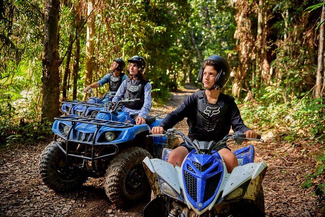 Cairns Trinity Inlet Sightseeing Safari - A Balanced View: Pros & Cons