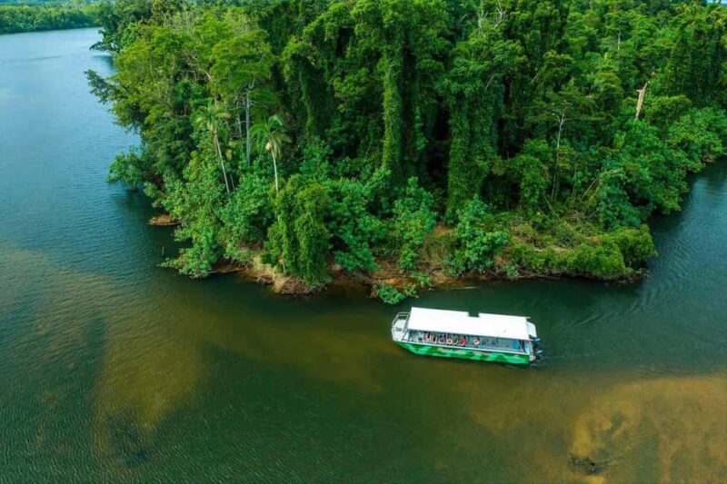 Cairns: Wildlife Habitat, Mossman Gorge, and Daintree Tour - An in-depth look at the tour experience