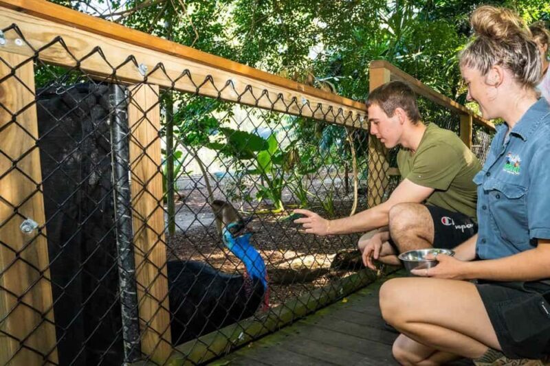 Cairns: Wildlife Habitat, Mossman Gorge, and Daintree Tour - Wildlife Habitat in Port Douglas: Close Encounters with Australian Animals