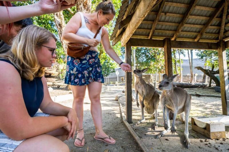 Cairns: Wildlife Habitat, Mossman Gorge, and Daintree Tour - Practical Tips for Travelers