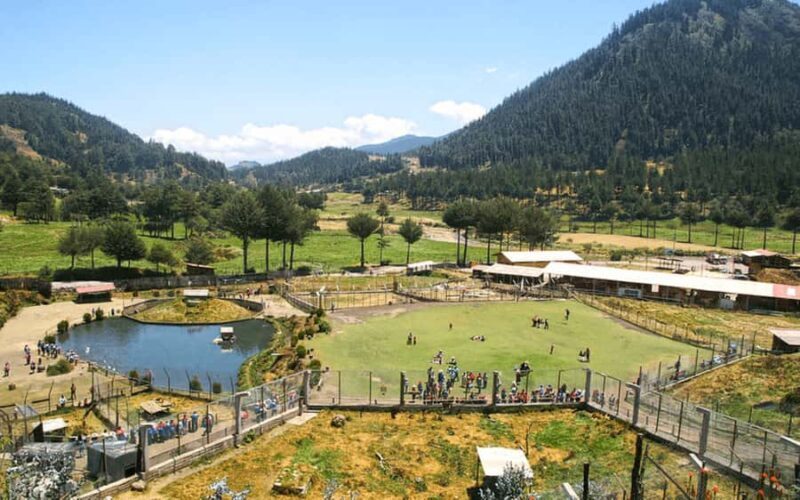 Cajamarca: Pocon and Otuzco farm tour - Cajamarca: Pocon and Otuzco Farm Tour – A Genuine Taste of Northern Peru