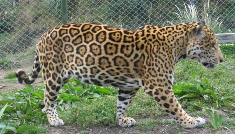 Cajamarca: Pocon and Otuzco farm tour - Final Thoughts