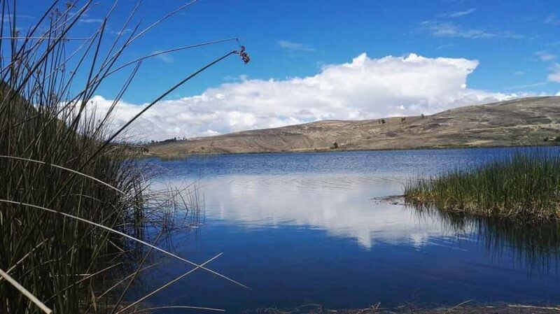 Cajamarca Valley: San Nicolás Lagoon Excursion - Key Points