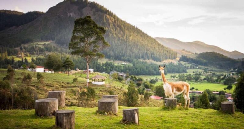 Cajamarca | Visit Combayo & Sangal Canyon - Key Points