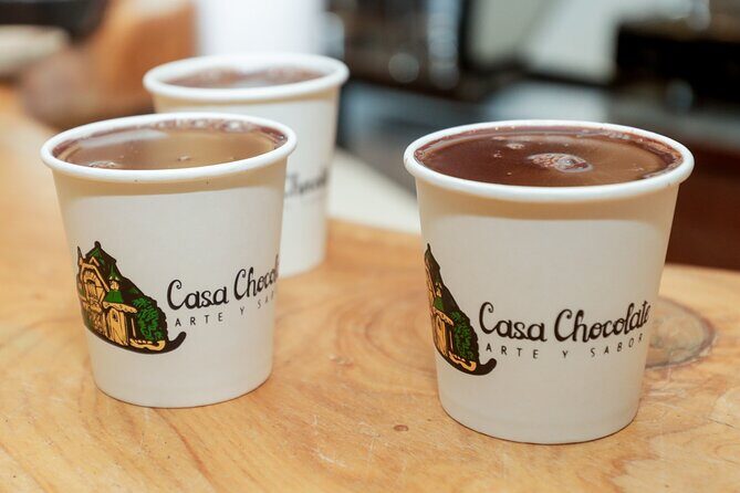 Cajon del Maipo, El Morado Lodge and Spa: Andean Adventure - Who Is This Tour Best For?