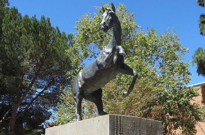 Cal Poly Scavenger Hunt and Escape Game - Practical Tips for Your Visit