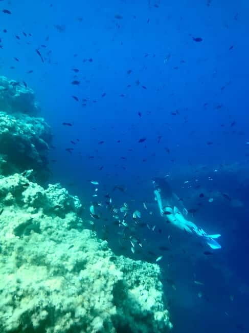 Cala Codolar: Sea & Caves Kayaking Tour with Snorkeling - Practical Tips for Your Booking
