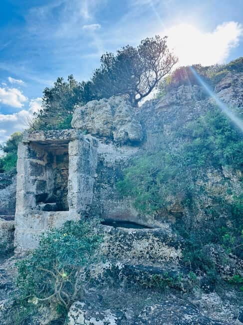 Cala en Blanes: Secret spots for the best dives with a local guide - The Sum Up