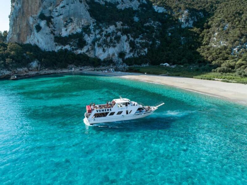 Cala Gonone: Grotta Bue Marino & Cala Luna Beach Boat Trip - What Travelers Say