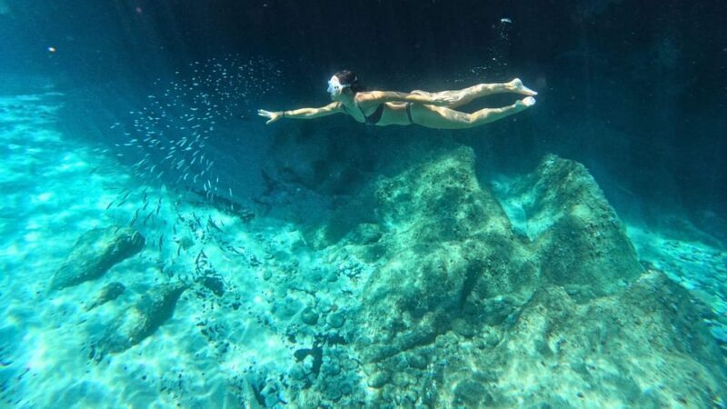Cala Gonone: Snorkeling in the Orosei Gulf - Why Choose This Tour?