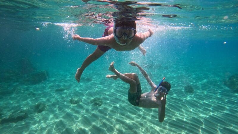 Cala Gonone: Snorkeling in the Orosei Gulf - Final Thoughts: Is This Snorkeling Tour Worth It?