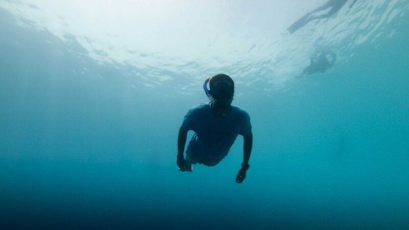 Cala Gonone: Snorkeling in the Orosei Gulf - Frequently Asked Questions