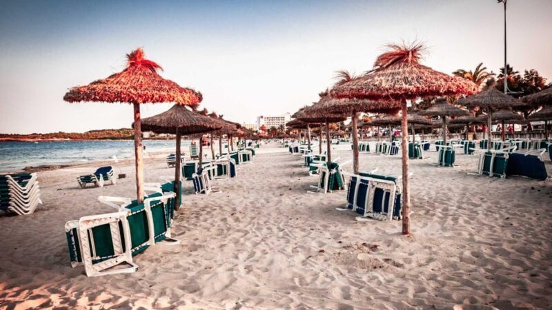 Cala Millor: Magical Creatures of Cala Millor, family game - Key Points