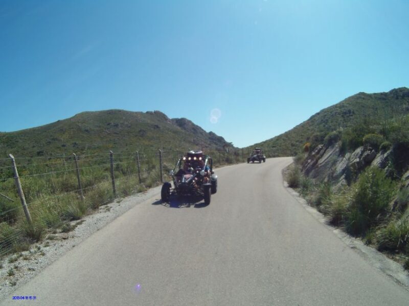Cala Millor/Sa Coma: Guided Buggy Tour - Authentic Experiences and Real Traveler Feedback