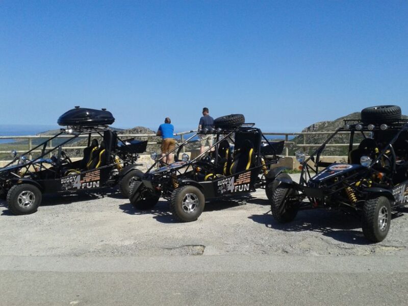 Cala Millor/Sa Coma: Guided Buggy Tour - Who Will Love This Experience?