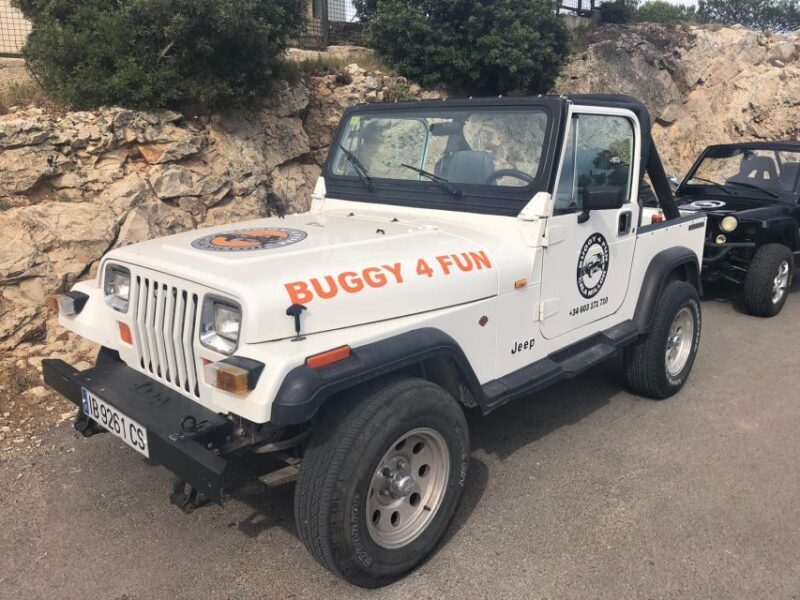 Cala Millor/Sa Coma: Guided Buggy Tour - Final Thoughts