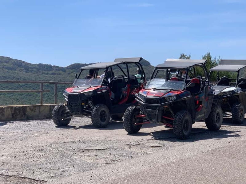 Cala Ratjada: Exclusive buggy tour also for families - Overall Value and Experience