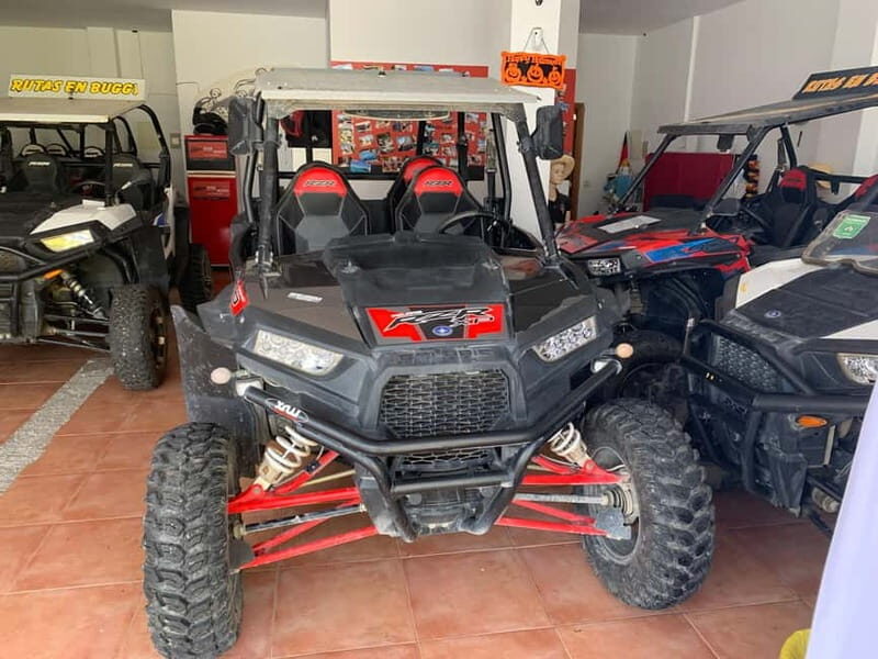 Cala Ratjada: Exclusive buggy tour also for families - FAQ