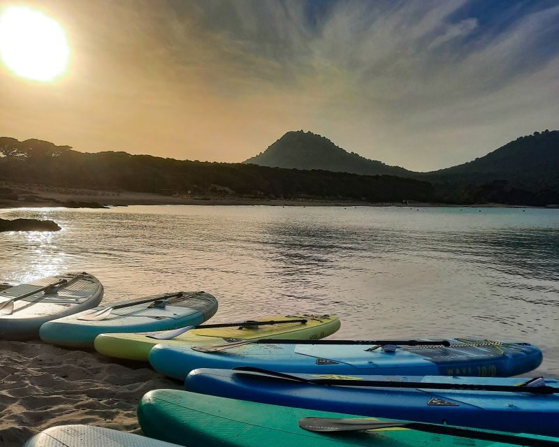 Cala Ratjada: Stand Up Paddle morning or afternoon Tour - The Sum Up