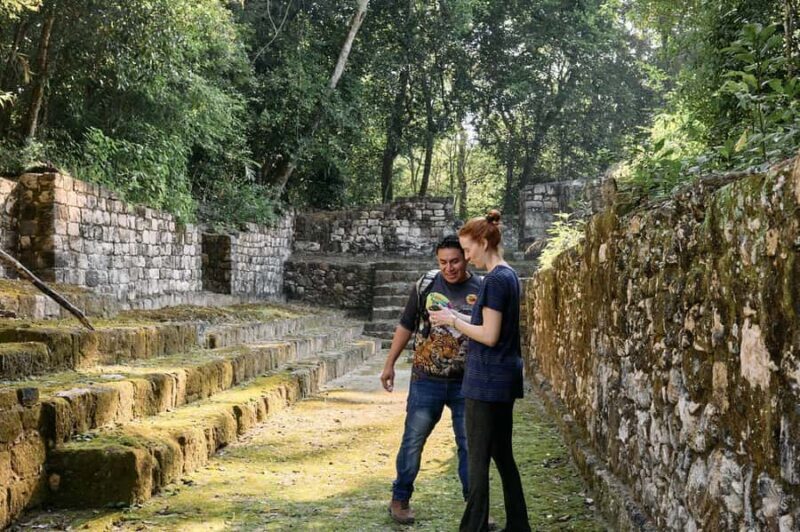 Calakmul Tour: Among Animals and Mayan History - Frequently Asked Questions