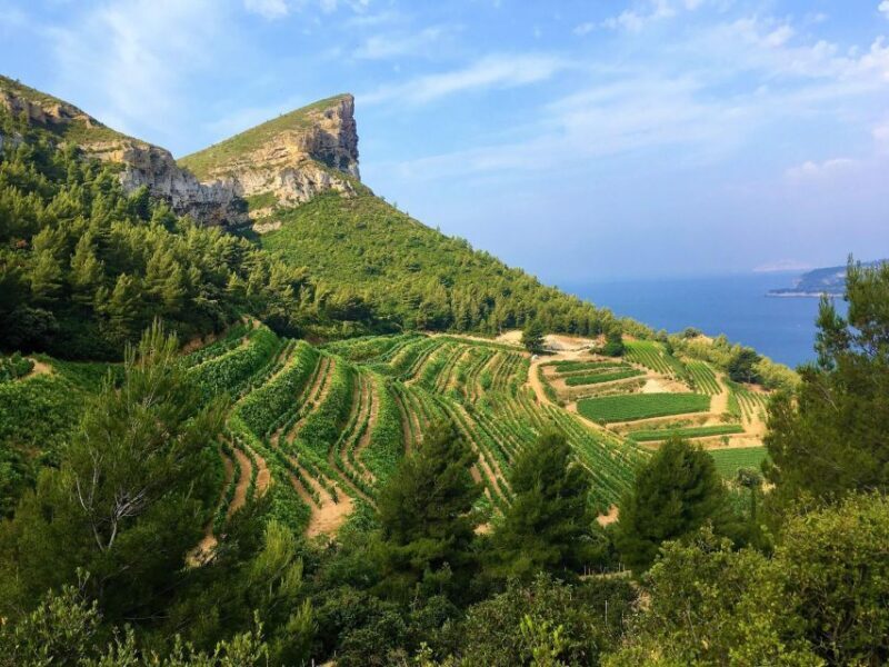 Calanques Of Cassis, the Village and Wine Tasting - Who Should Consider This Tour?
