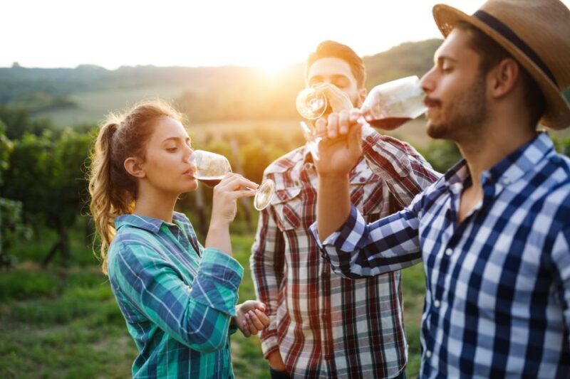 Calaveras/Tuolumne Digital Wine Tasting Passport - Final Thoughts