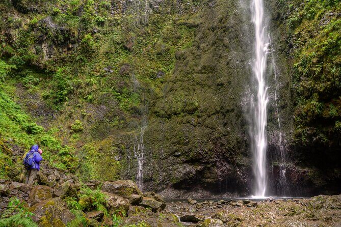 Caldeirão Verde Levada (PR 9) - Guided Madeira Levada Walk - Key Points