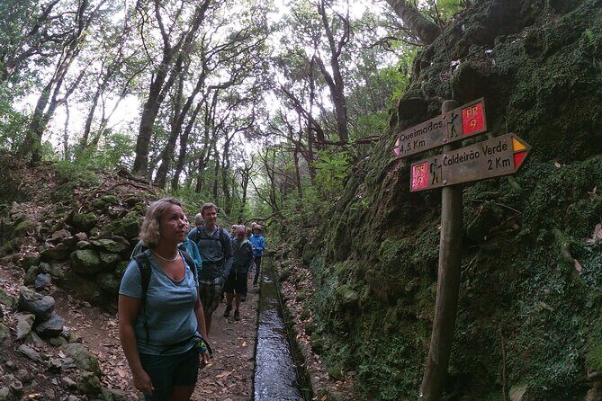 Caldeirão Verde Levada (PR 9) - Guided Madeira Levada Walk - The Value of This Tour