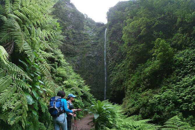 Caldeirão Verde Levada (PR 9) - Guided Madeira Levada Walk - FAQs