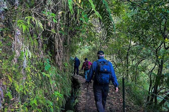Caldeirão Verde Levada (PR 9) - Guided Madeira Levada Walk - Final Thoughts