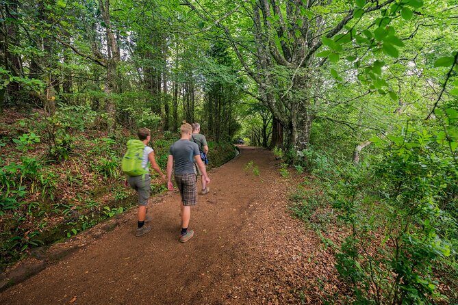 Caldeirão Verde Levadas Walk in Madeira - FAQ