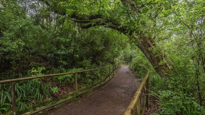 Caldeirão Verde: Queimadas PR9 Transfer Hike - Key Points
