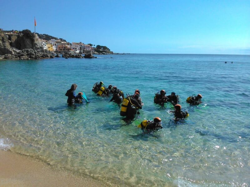 Calella de Palafrugell : Discover Scuba Diving Experience - An Authentic Look at the Calella de Palafrugell Scuba Experience