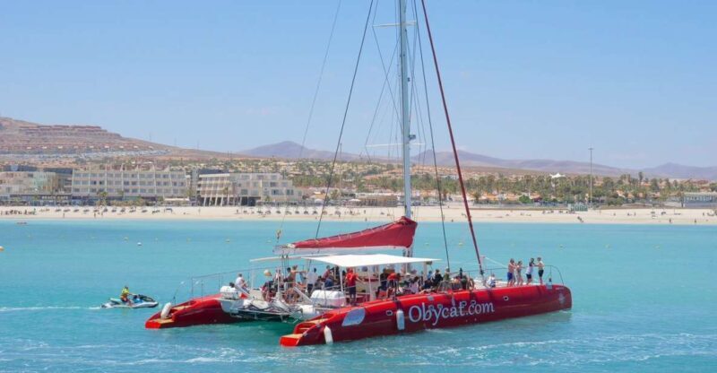 Caleta de Fuste: Catamaran Sailing Experience - Final Thoughts
